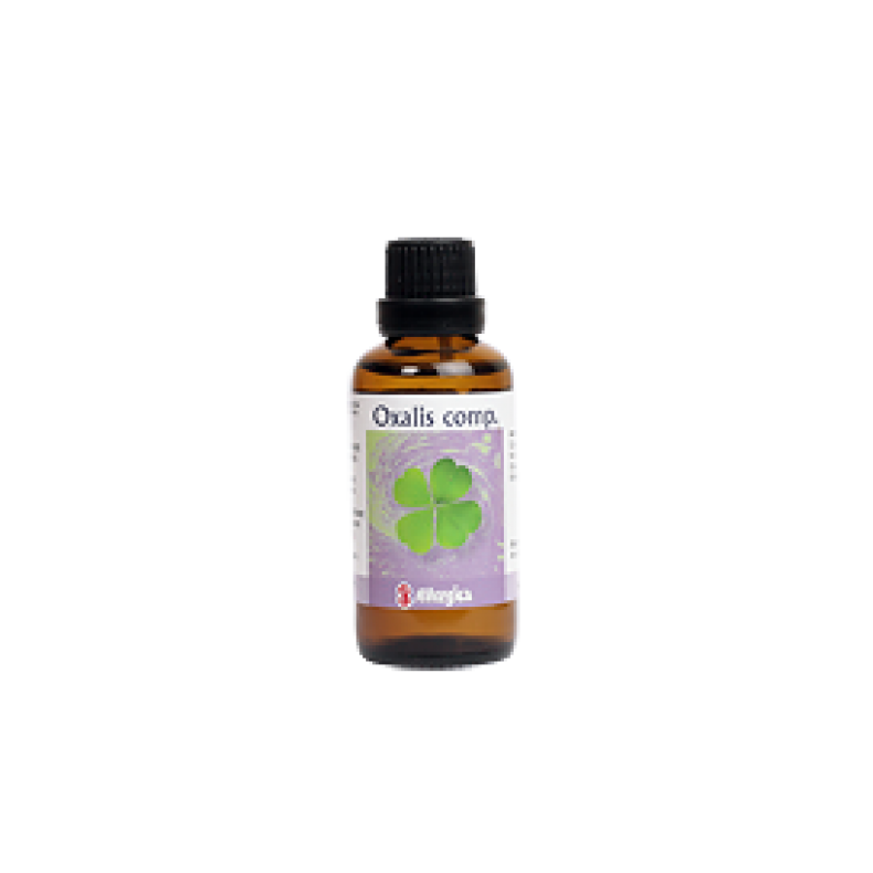 Oxalis comp, drber - Allergica