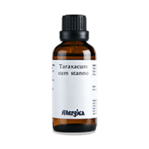 Taraxacum cum stanno, drber - Allergica
