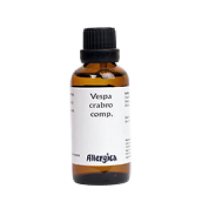 Vespa crabro comp, drber - Allergica