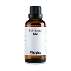 Echinacea D12, drber - Allergica