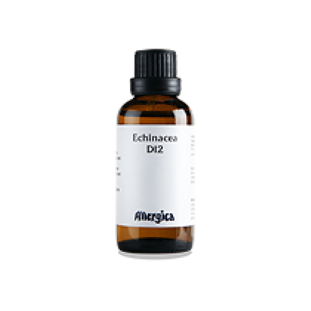 Echinacea D12, drber - Allergica