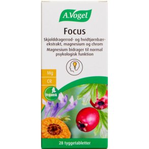 A. Vogel Focus 28.stk