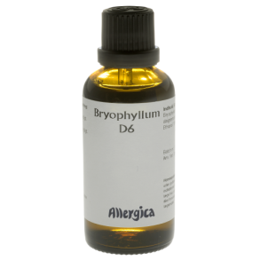 Bryophyllum D6. drber - Allergica